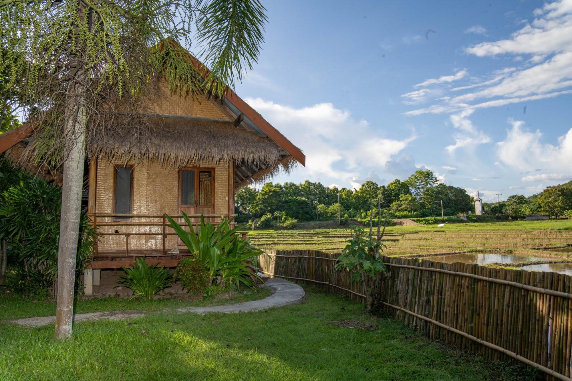 Butterfly Hostel, Pai Buitenkant foto