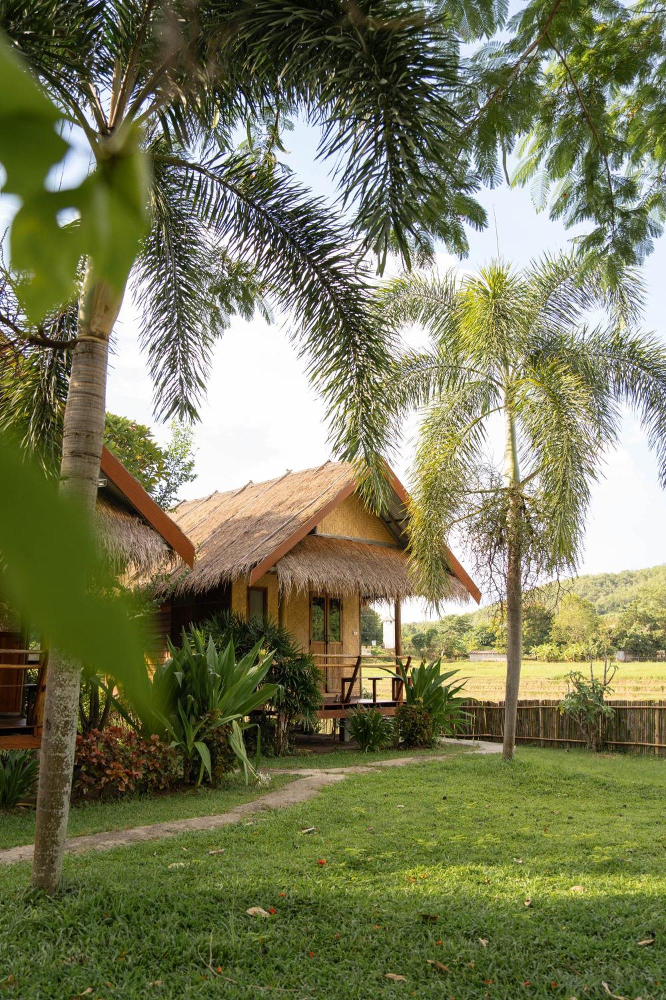 Butterfly Hostel, Pai Buitenkant foto